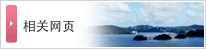 相关网页