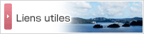 Liens utiles