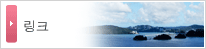 링크